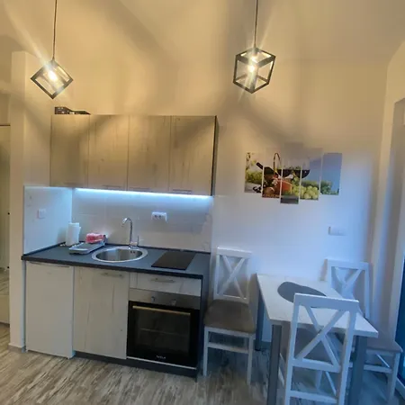 Leona A3 Lägenhet Divčibare